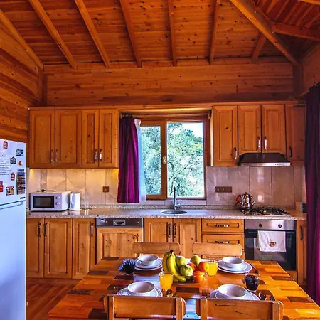 2 Bedroom Halal In Islamlar ヴィラ カルカン